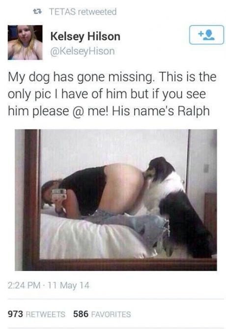 alyssa rosales dog alyssa rosales dog